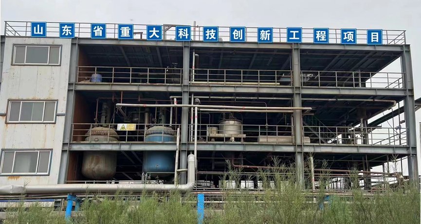 以可生物降解聚合物和脂质材料