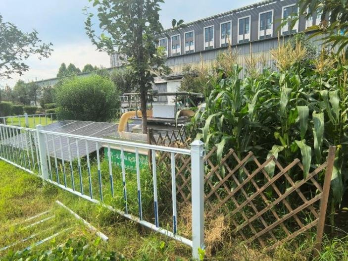过程工程所研究员杨乃亮与深圳大学教授