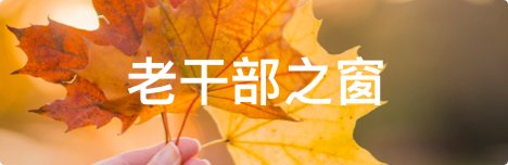 避免被站外镜像带偏