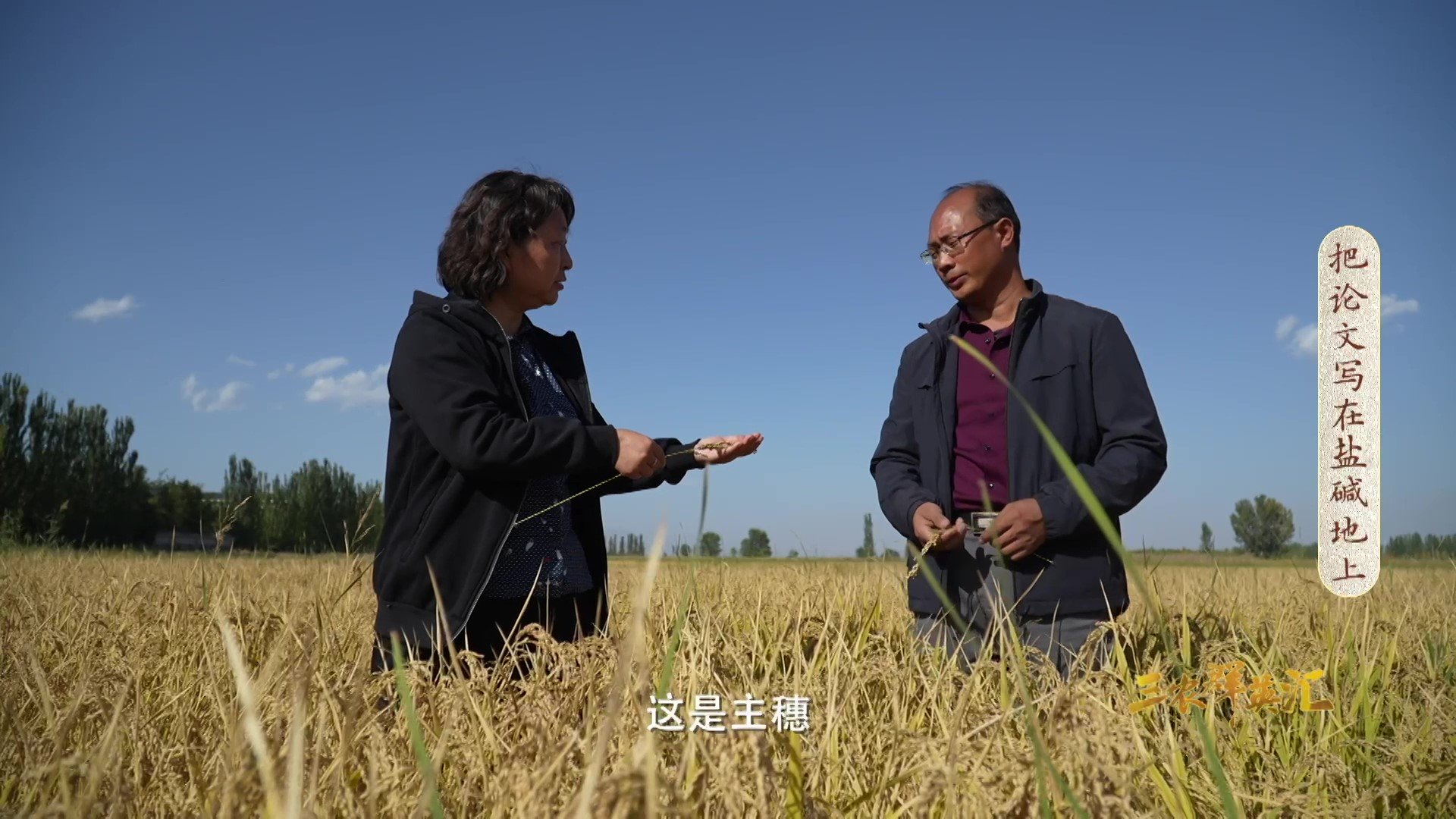专题动态 浏览更多